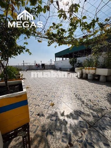 ‼️[ TẦM 3X ĐƯỢC CĂN GÁC NÀY LÀ QUÁ ĐẸP ]