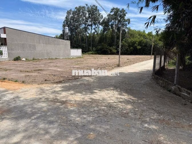 950TR – ĐẤT 159M² ẤP TRẢNG SA, ĐÔN THUẬN – GẦN KCN PHƯỚC ĐÔNG