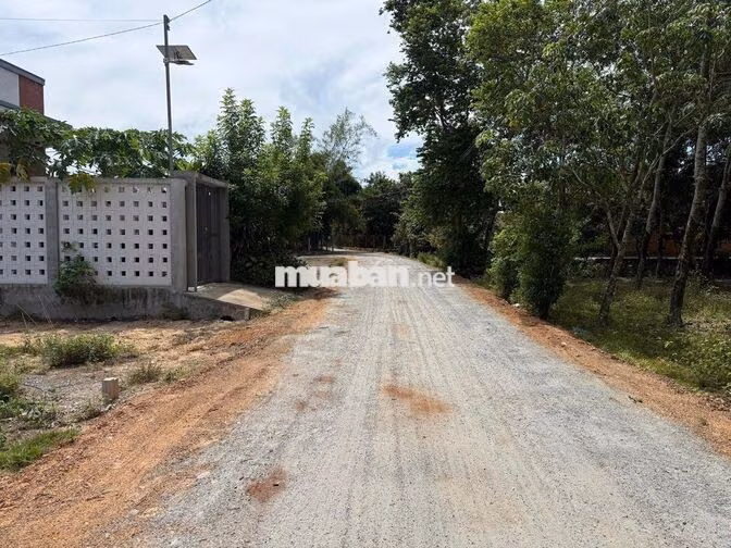 950TR – ĐẤT 159M² ẤP TRẢNG SA, ĐÔN THUẬN – GẦN KCN PHƯỚC ĐÔNG
