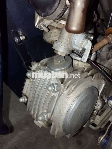 Honda Future Xanh Nguyên bản