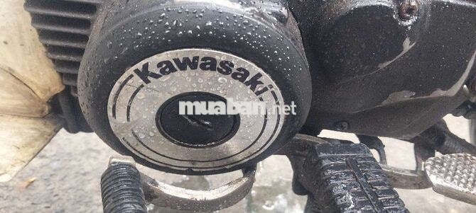 Kawasaki Max Đỏ Trắng