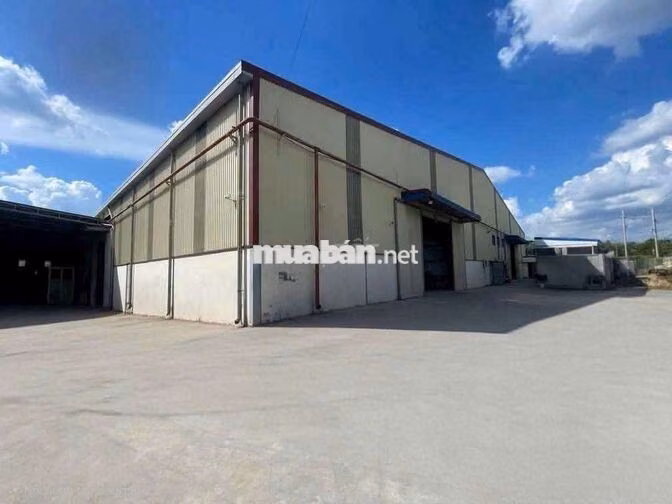 Cần Cho Thuê Nhà Xưởng Gần Chợ Đầu Mới Thủ Đức. Dt:2600m Xe container 