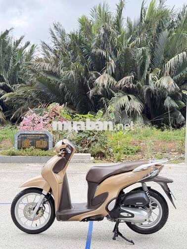 🌈 SH Mode 125 ABS 2021 - Nậu Sớ TT 15 Củ Nhận Xe