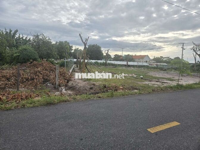 BÁN ĐẤT VEN BIỂN PHƯỚC HẢI 1565M² CÓ THỔ CƯ CHỈ 3,2 TỶ