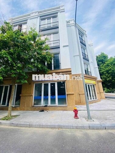 kim cương land tuyển dụng chuyên viên kinh doanh