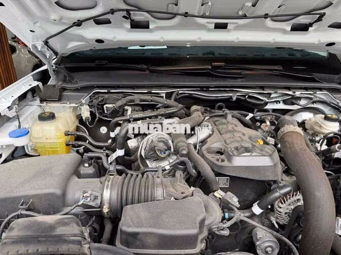 Ford Ranger XLS 2025 Trắng 8.000km
