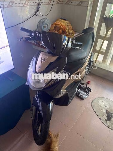 Suzuki Hayate 2012 Đen, Vàng đồng