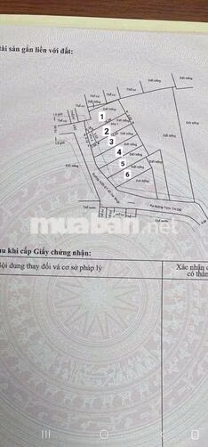 Hàng F0 đầu tư đông thạnh 7 - hóc môn giáp quận 12