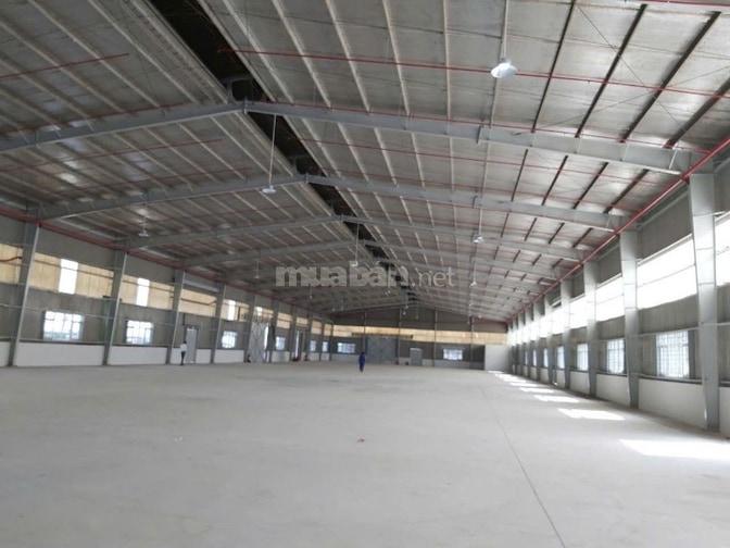 Cho thuê xưởng 4000m2 mặt tiền DT 835 Long An Giá chỉ 200tr/tháng