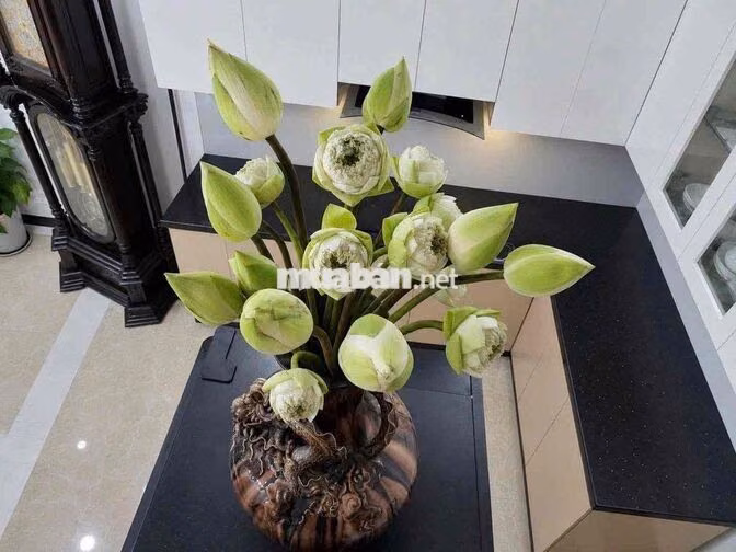CHO THUÊ NGUYÊN CĂN NHÀ THẠCH BÀN - 3PN - NỘI THẤT CƠ BẢN - Ở HỘ GIA Đ