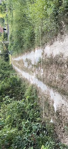 Thông báo đấu giá tài sản của ông Lê Quốc Việt (Thửa 214)