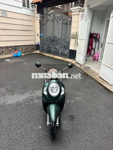 Honda Scoopy 2023 Xanh Indonesia
