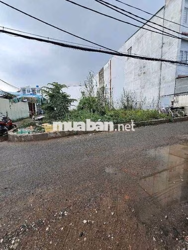 BAN DAT ĐƯỜNG XE HƠI THÔNG TỨ TRUNG  BE NGANG KHUNG 5.5M