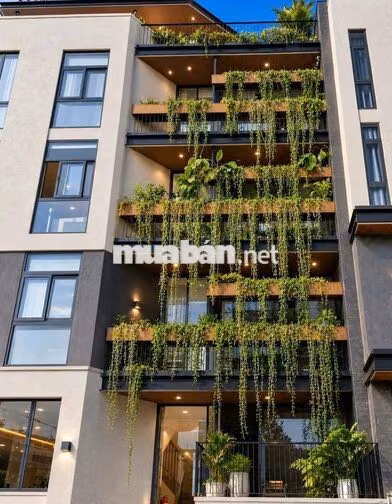 Nhà phố mặt tiền Đặng Thế Phong, cạnh trường TH Tân Sơn  Nhì