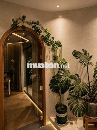 Nhà phố mặt tiền Đặng Thế Phong, cạnh trường TH Tân Sơn  Nhì