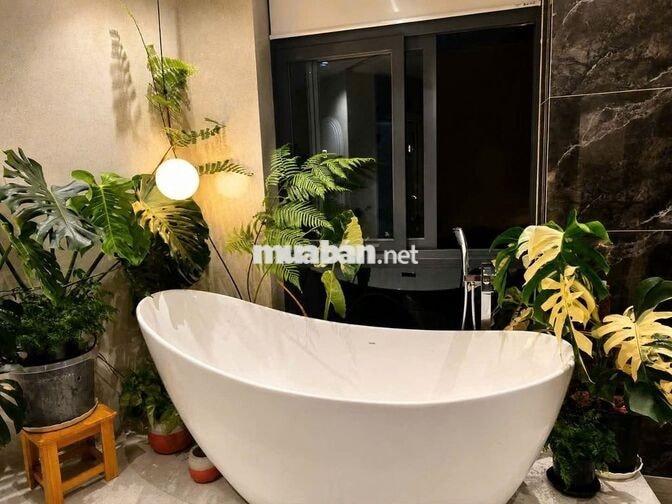 Nhà phố mặt tiền Đặng Thế Phong, cạnh trường TH Tân Sơn  Nhì