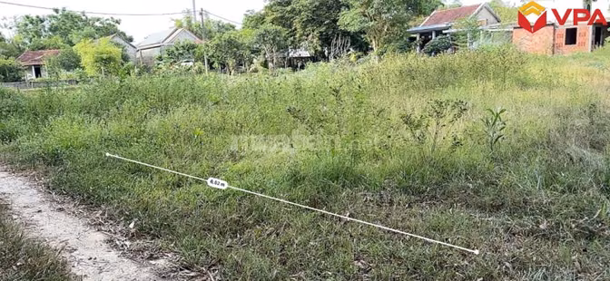 Thông báo đấu giá tài sản của ông Lê Quốc Việt
