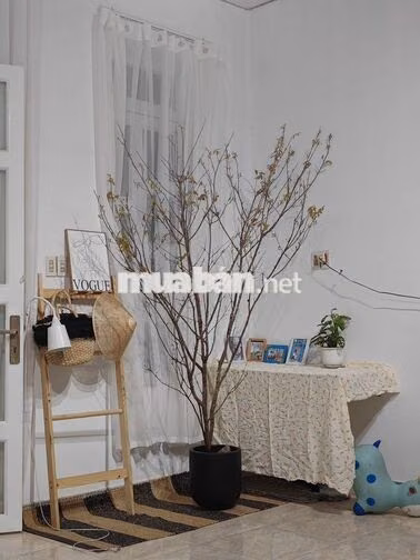 Đang thở oxi, cần tiền bán gấp nhà KP. Tân Tiến - Phường. Xuân Lộc