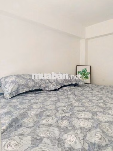 🏡🔥 CCMN ĐẸP – ĐẠI LA, HAI BÀ TRƯNG | 5TR–5TR2 🔥  