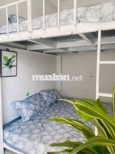 🏡🔥 CCMN ĐẸP – ĐẠI LA, HAI BÀ TRƯNG | 5TR–5TR2 🔥  