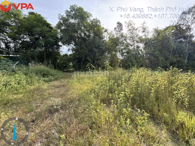 Thông báo đấu giá tài sản của ông Lê Quốc Việt