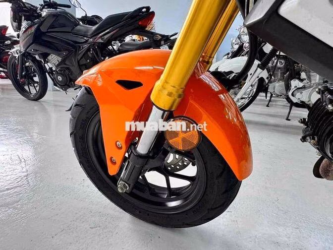 Honda MSX125 2023 Cam Thái Lan 15k km