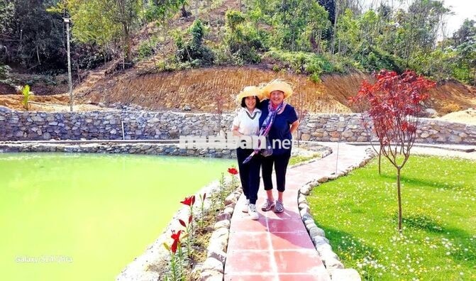 Cho thuê nhà sàn sinh thái kinh doanh