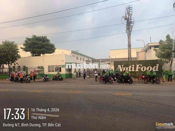 LĐPT CÔNG TY SỮA NUTIFOOD