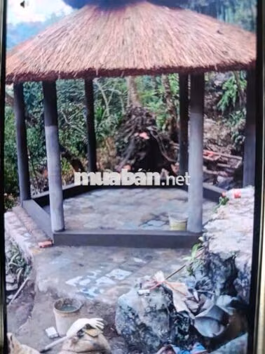 Cho thuê nhà sàn sinh thái kinh doanh
