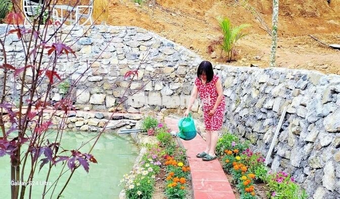 Cho thuê nhà sàn sinh thái kinh doanh