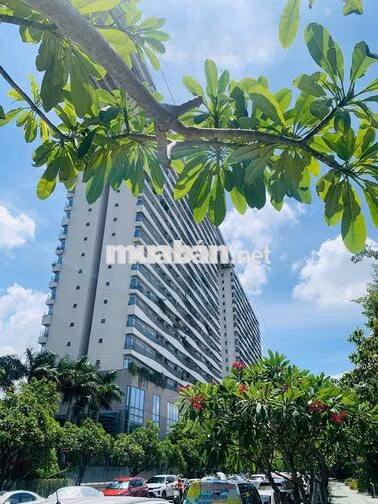 CH 56m2 Diamond Lotus Riverside, Cầu Chữ Y,Giá TỐT, Sổ hồng,View sông,