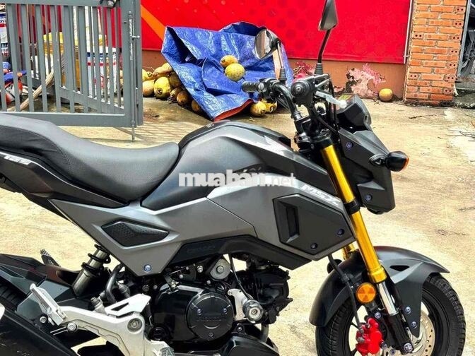 Honda MSX125 125cc Xám