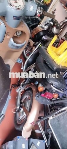 Xe ga 50cc Nữ Hàn Quốc Xám