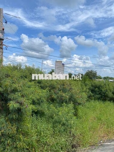 Bán nhà đất mặt tiền đê biển xã Tân Thành, Gò Công, Tiền Giang