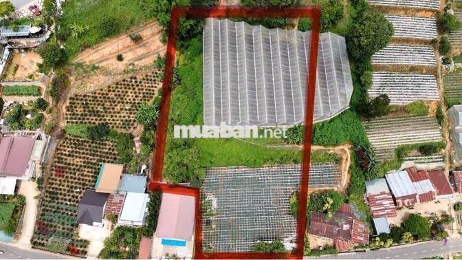 "Đất Mặt Tiền Đường Đa Phú, Phường Lang Biang - Đà Lạt - Lâm Đồng