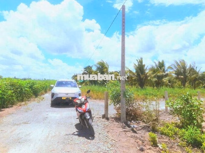 Quá ngộp. chỉ 440tr sở hữu vườn xoài 1000m² đất