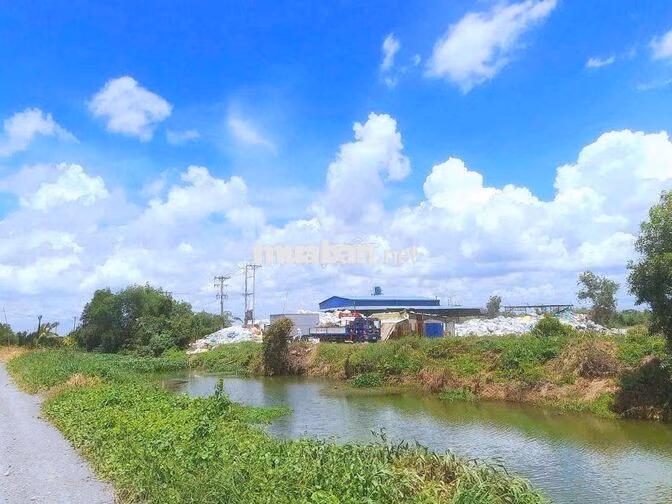 Quá ngộp. chỉ 440tr sở hữu vườn xoài 1000m² đất