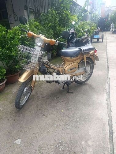 Honda Super Cub 81 50cc Vàng đồng
