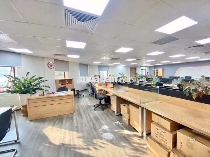 🏢 Cho Thuê Nhà Lê Thiệt P.Phú Thọ Hòa Tân Phú – 10x20m, Hầm Trệt 3 Lầu