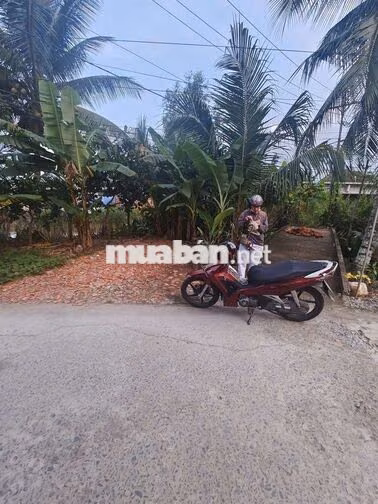 bát đất cln ấp thới hưng phong điền cần thơ
