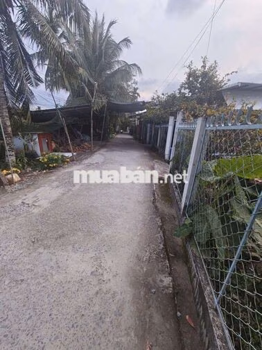 bát đất cln ấp thới hưng phong điền cần thơ