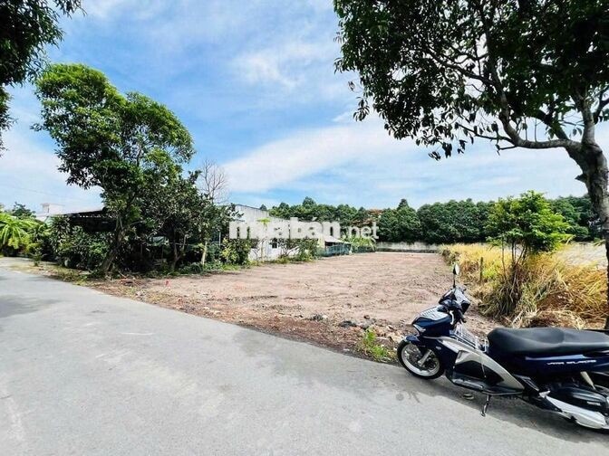570TR – 335M² – CHỦ CẦN TIỀN NÊN BÁN NHANH LÔ NỞ HẬU 10M, NGANG 7M 