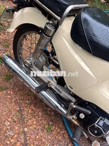 Honda Cub 50 Kem Học sinh đi học