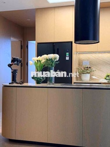🏝️Cho Thuê Căn Hộ CC mini 1PN - 2PN - 3PN Full NT Giá Chỉ 12Tr/Th🏝️