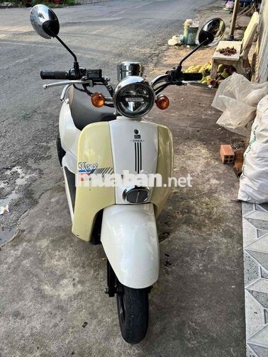 tay ga 50cc dòi 2022