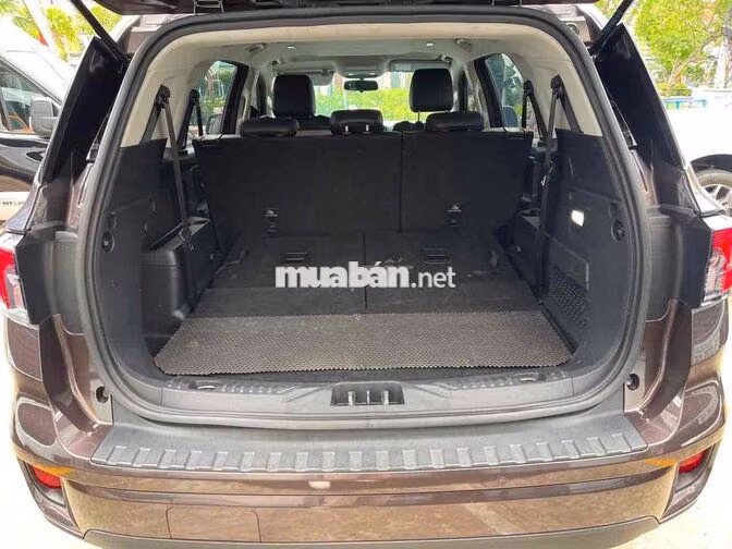 Ford Everest Ambient 2023 74.600 km Nâu