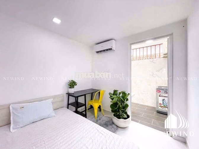 Studio, CHDV cho thuê phòng trọ sinh viên RMIT, Nhân Viên văn phòng 