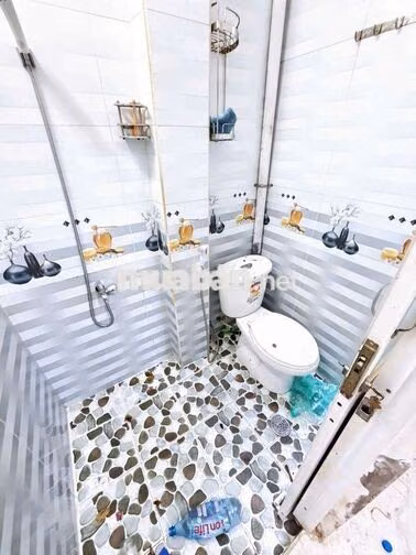 Trịnh Đình Thảo. Tân Phú (1pn, 1wc). Hẻm ba gác. Dtsd 48m2