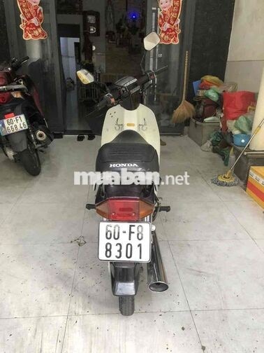 Honda Dream Thái Đen, Trắng Êm