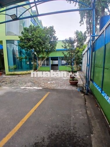✅ CHO THUÊ NHÀ 3 TẦNG- DT 5000M2-Ngang 50M❌100M-P. ĐÔNG HƯNG THUẬN-Q12